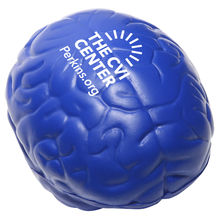 Brain stress ball (CVI Center logo)